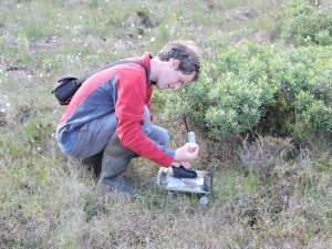 Reuben Neville about to release 2 Large heath butterflies