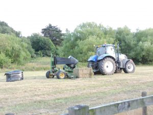 Tractor with bales of hay