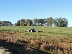 Tractor mowing the field