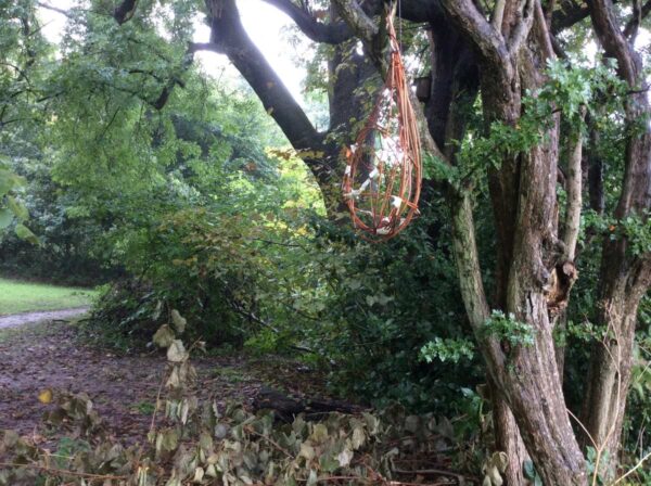 Wicker net hanging from tree