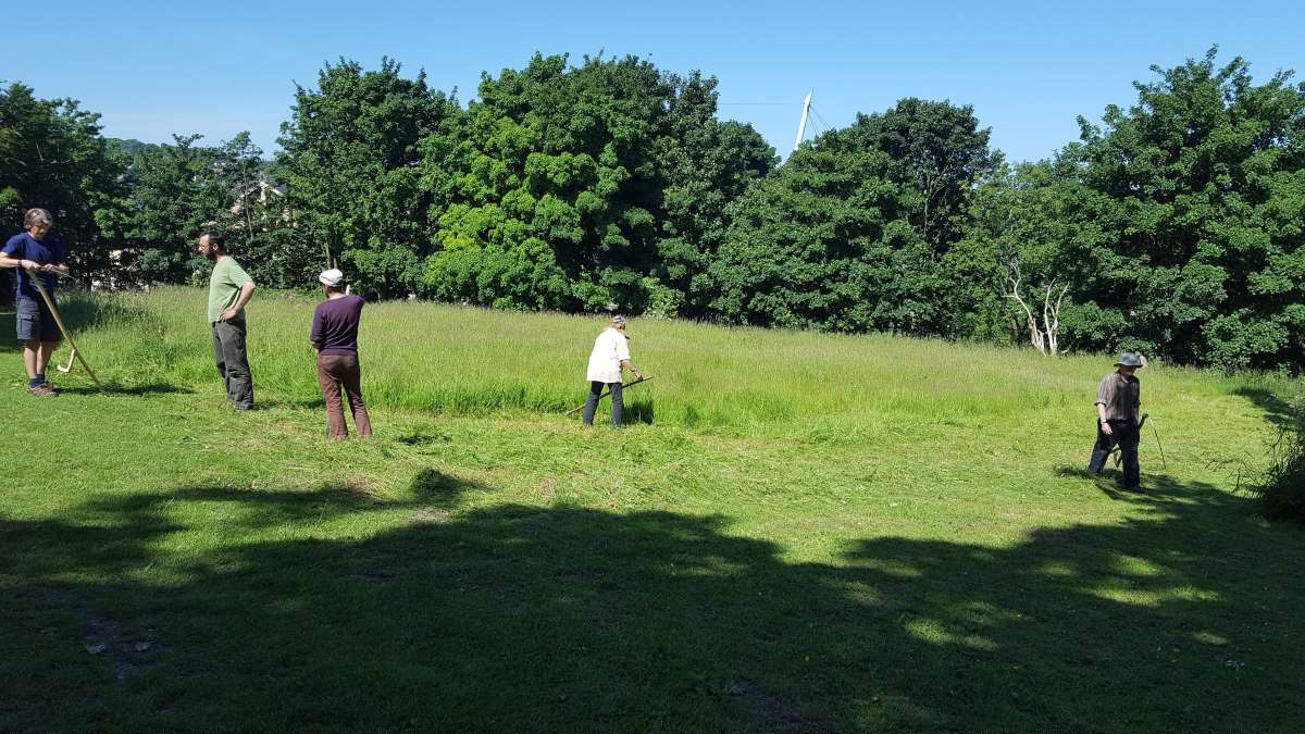 Volunteers in field with scythes