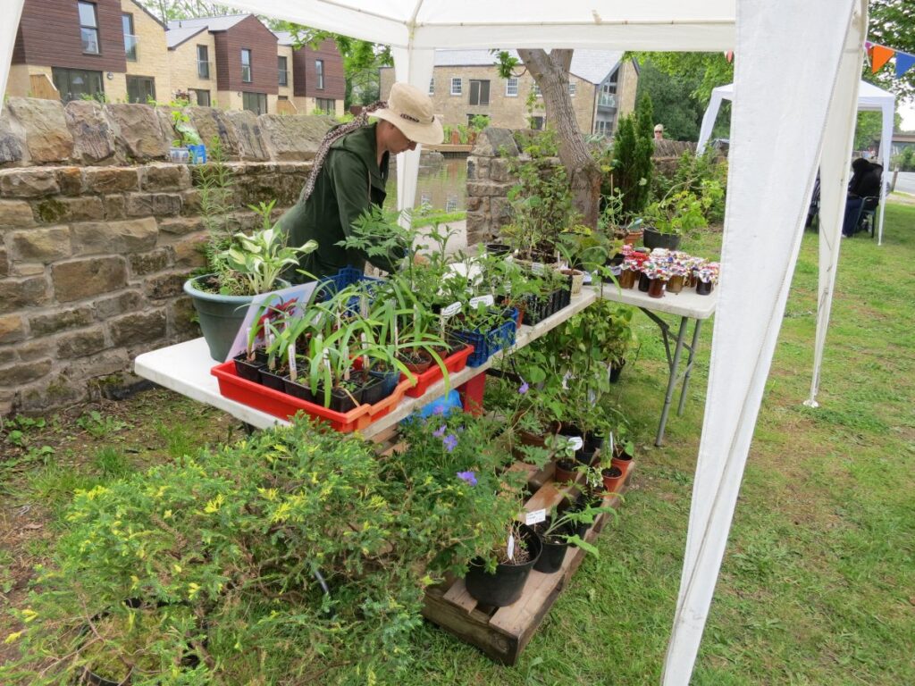 The plant stall at the Triangle Spring Fair in May 2016