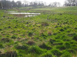 View15:  Flora Ponds towards Aldcliffe Album