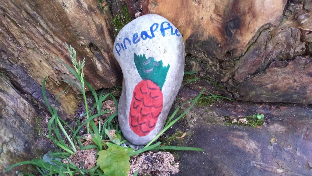 One of the painted stones left on the Triangle over the last year