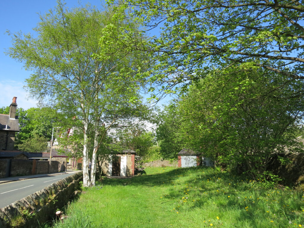 21 May - The porch is gone and the silver birch has fresh leaves