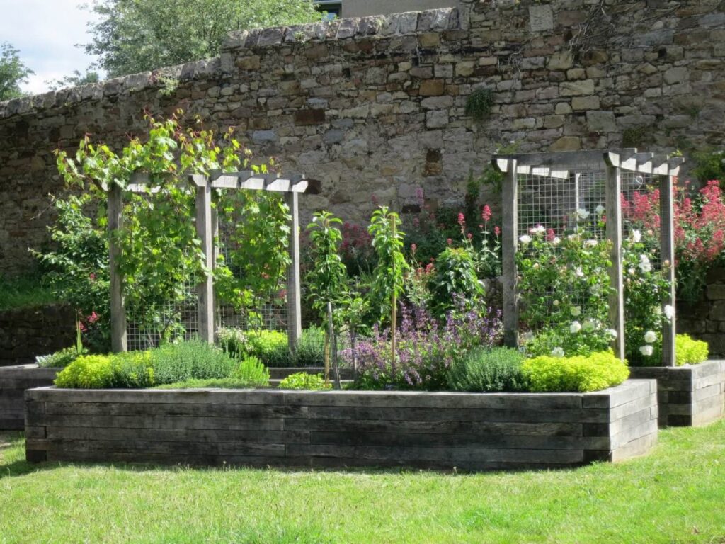 Plants and flowers in the raised beds at the Triangle