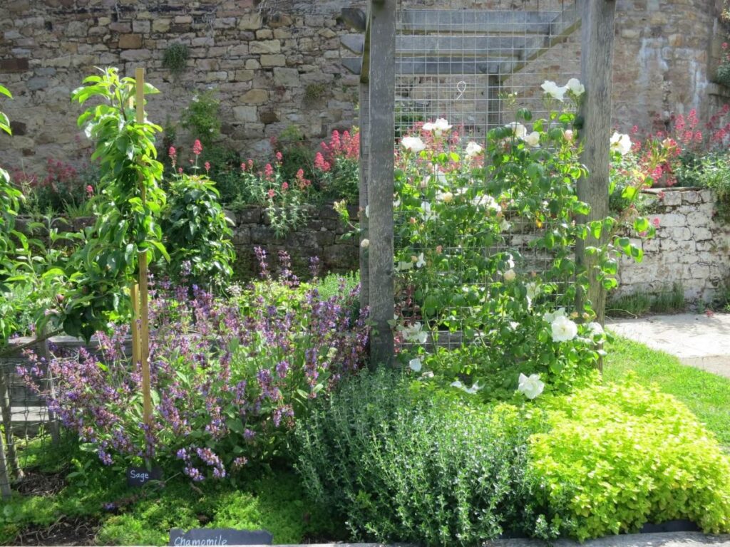 Plants and flowers in the raised beds at the Triangle