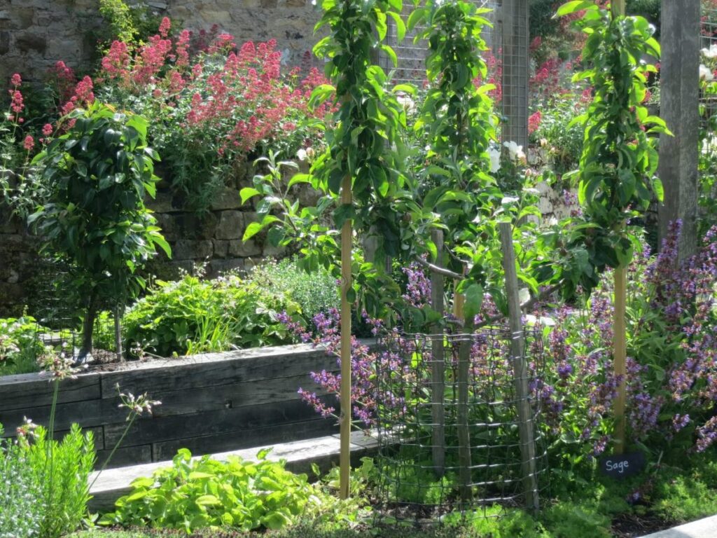 Plants and flowers in the raised beds at the Triangle