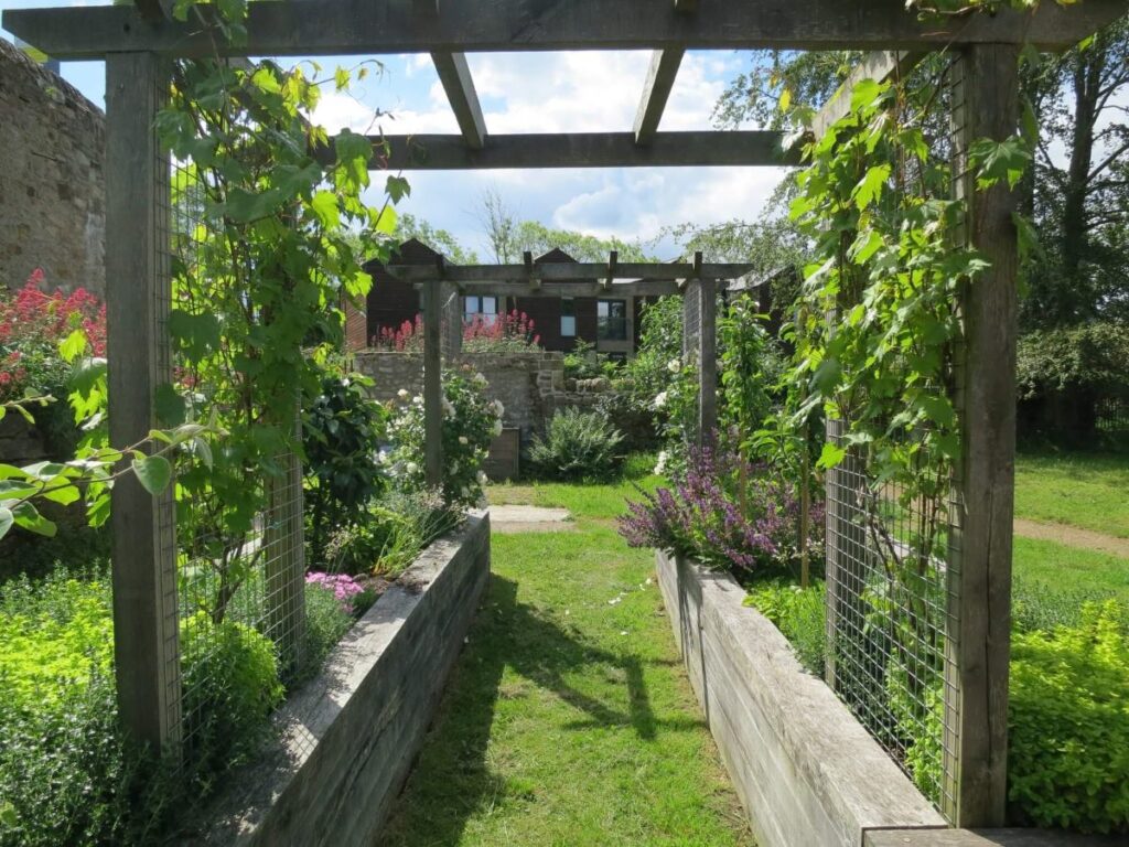 Plants and flowers in the raised beds at the Triangle