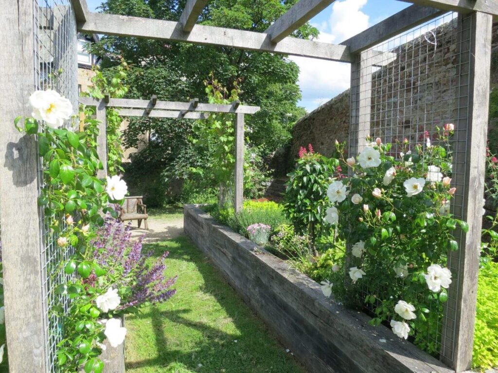 Plants and flowers in the raised beds at the Triangle