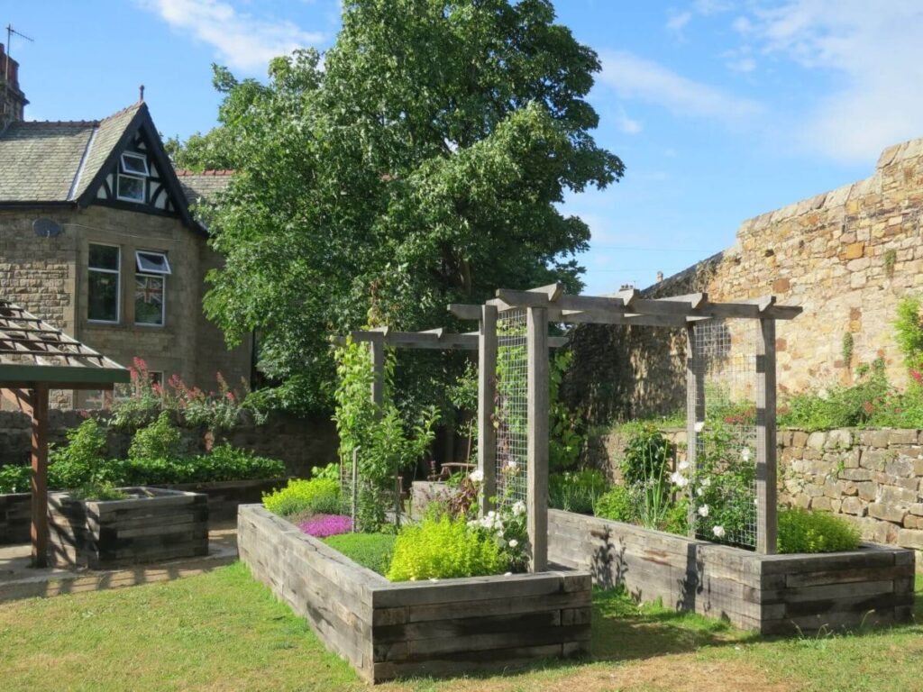 Plants and flowers in the raised beds at the Triangle