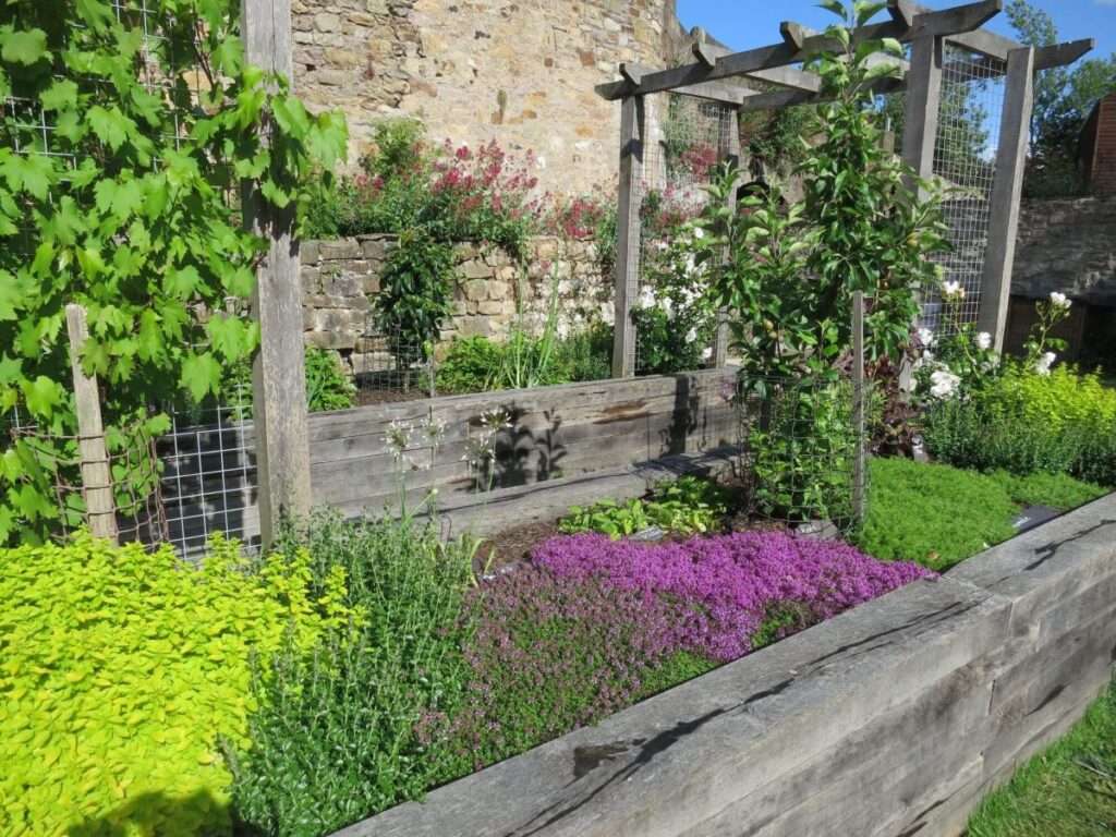 Plants and flowers in the raised beds at the Triangle