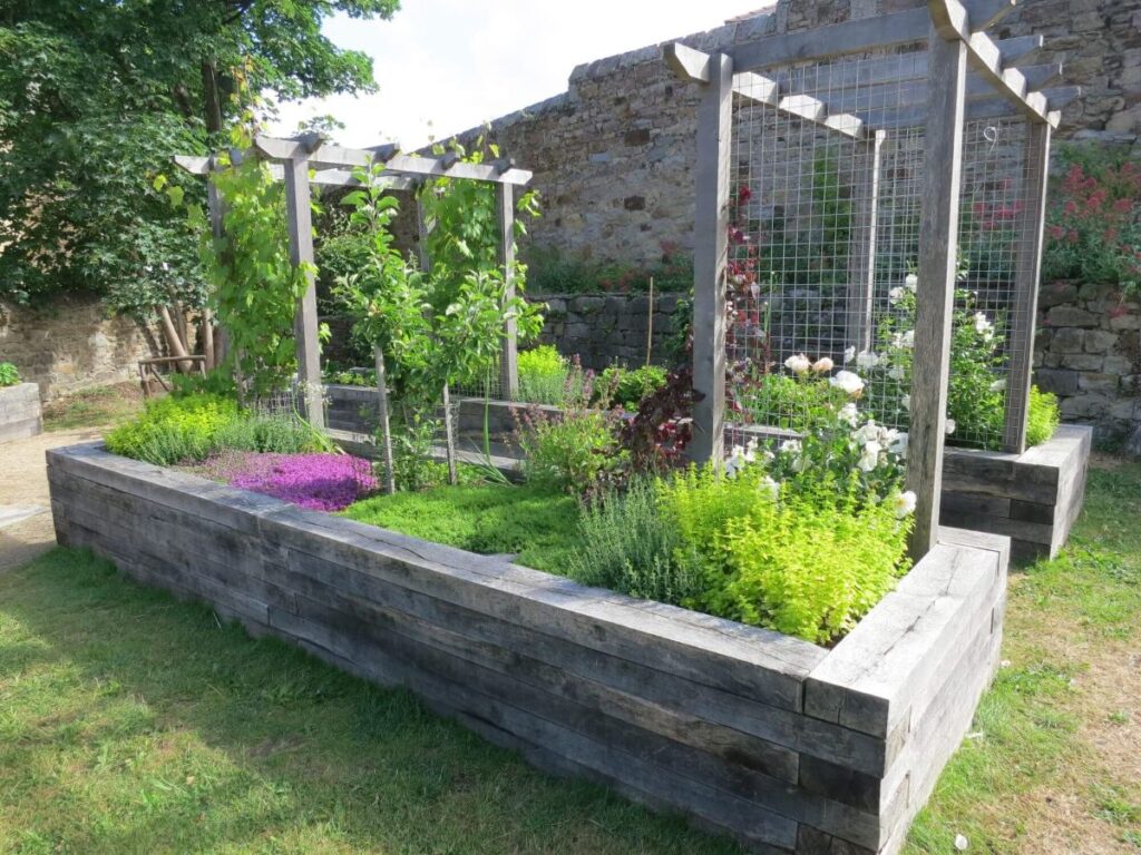 Plants and flowers in the raised beds at the Triangle