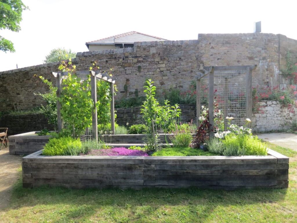 Plants and flowers in the raised beds at the Triangle