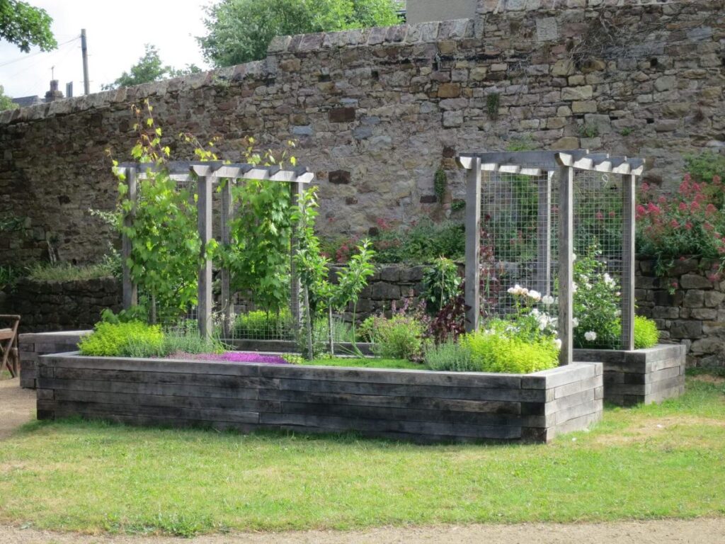 Plants and flowers in the raised beds at the Triangle