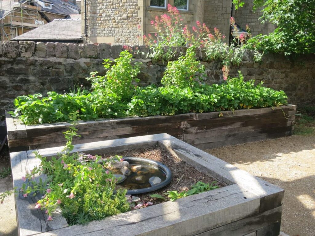 Plants and flowers in the raised beds at the Triangle