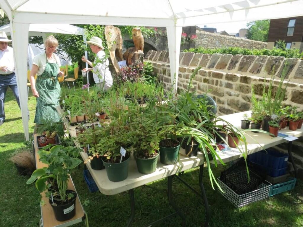 Scene with people attending the Spring Fair at the Triangle