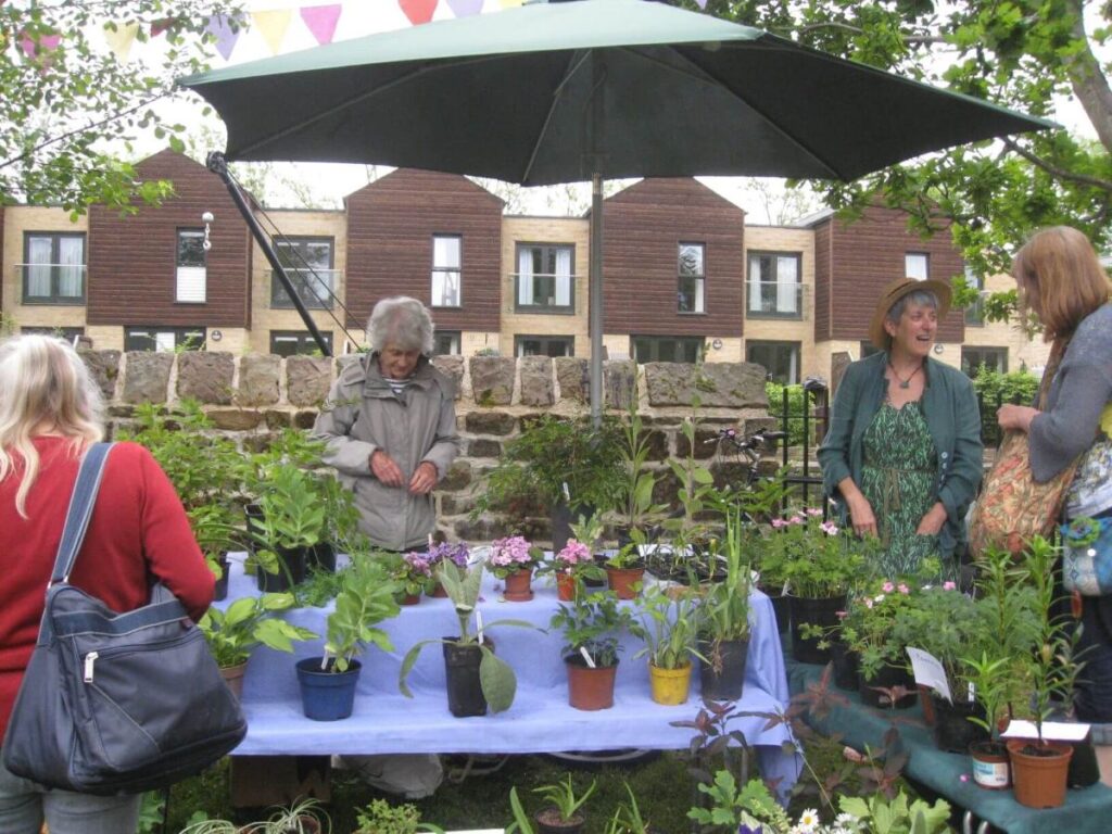 People attending the Triangle summer fair