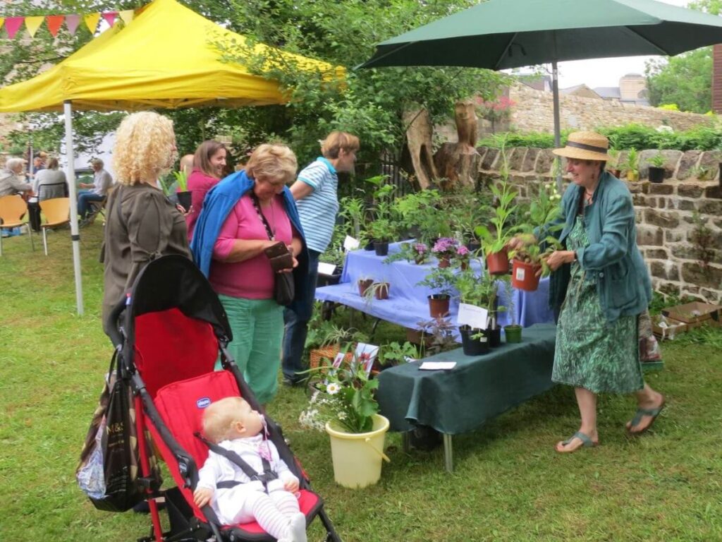 People attending the Triangle summer fair