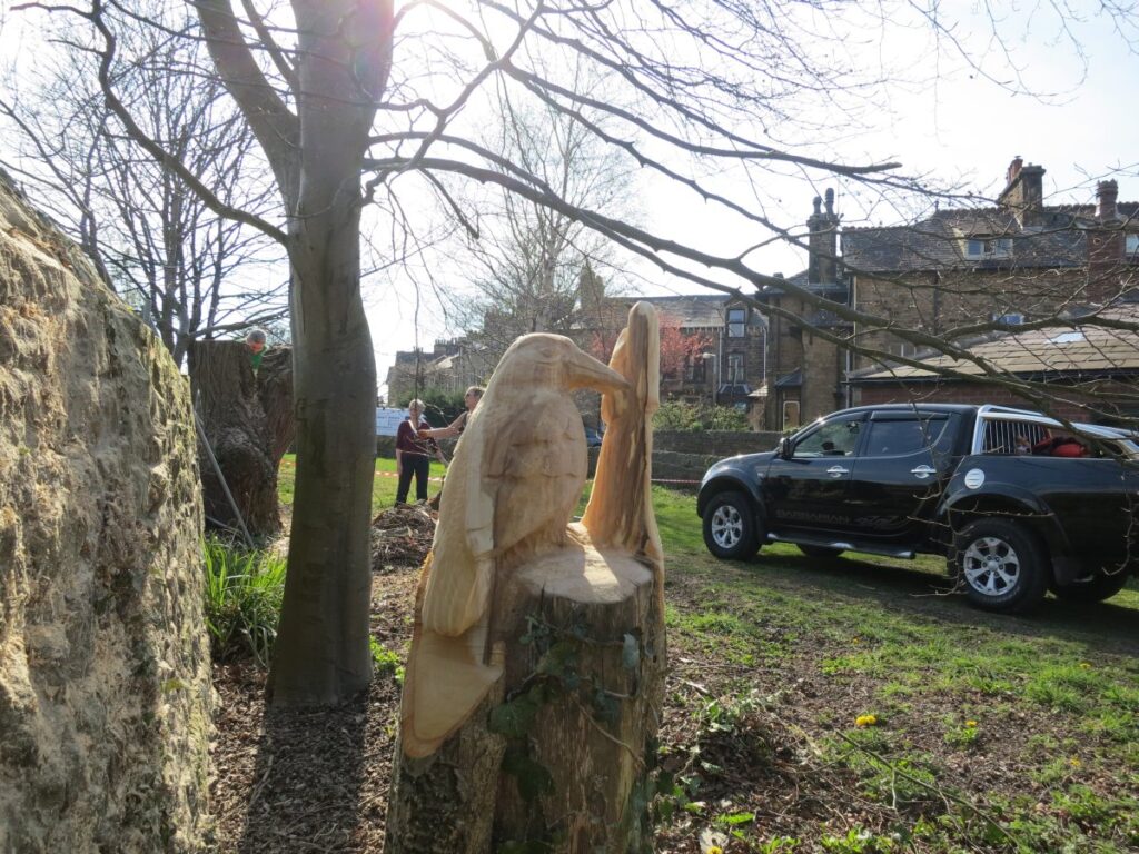 Scene from volunteer session clearing the trees and towpath wall