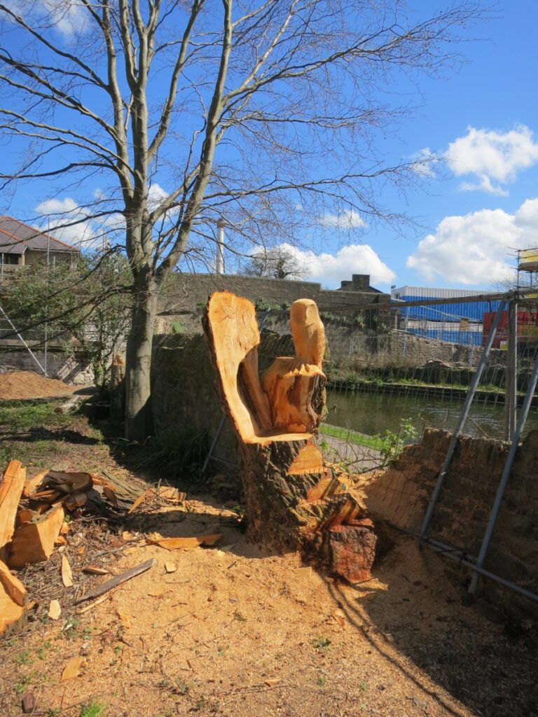 Scene from volunteer session clearing the trees and towpath wall