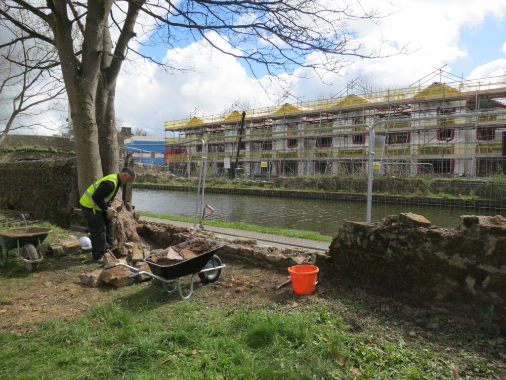 Scene from volunteer session clearing the trees and towpath wall