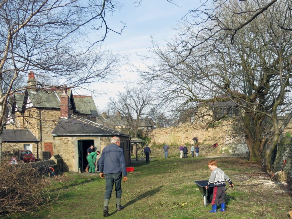 Scene from volunteer session clearing the trees and towpath wall