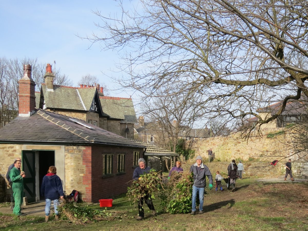 Scene from volunteer session clearing the trees and towpath wall