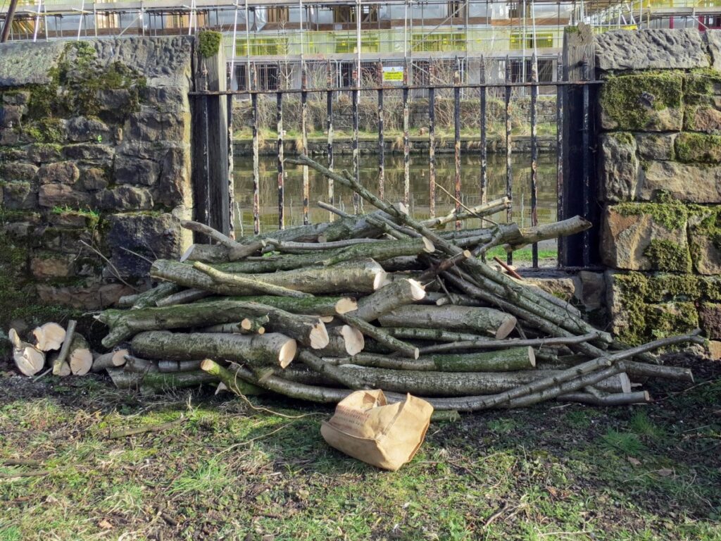 Scene from volunteer session clearing the trees and towpath wall