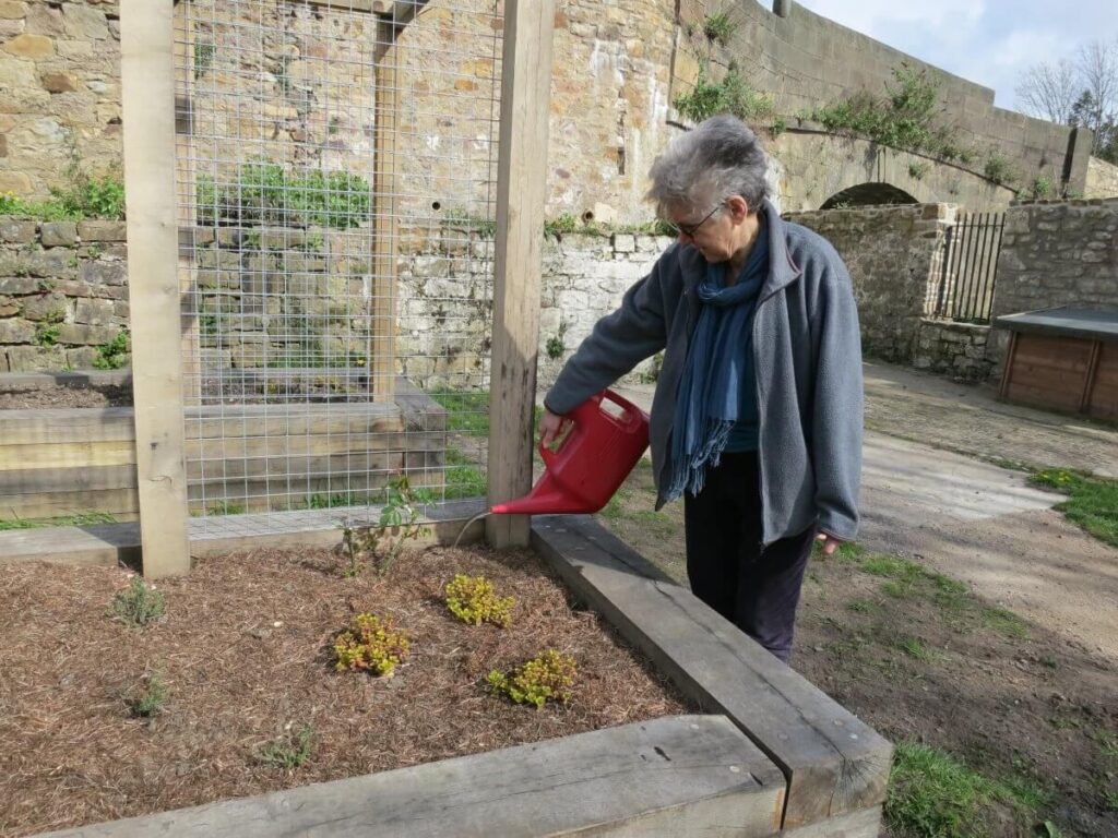 Working on the paths, ground and raised beds