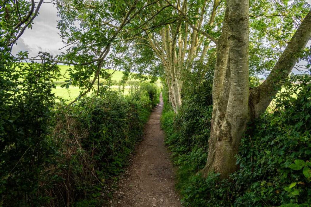 The Long Pads Footpath