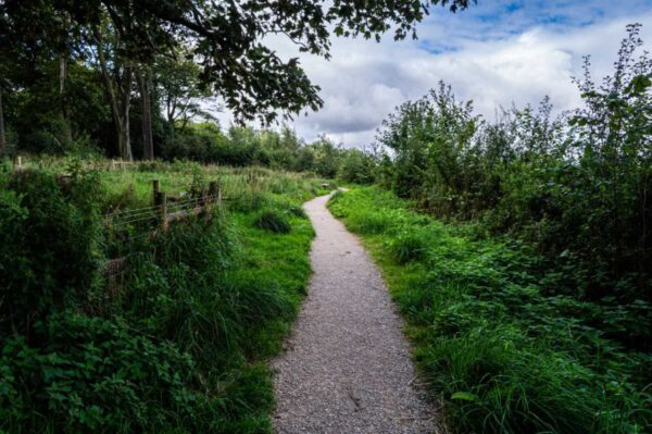 Pony Wood Path