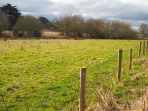 View06-Hay Meadow towards Lucy Brook and Big Meadow-27 Feb 2023