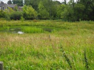 View07-Cromwell Pond in Hay Meadow Album