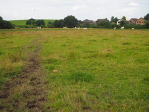 View09- Big Meadow looking across to houses in Abraham Heights-Album