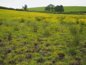 View10-Lower Sowerholme towards West Field Album