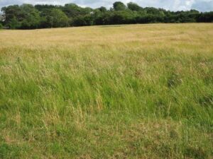 View11-Lower Sowerholme towards Aldcliffe Rd Album