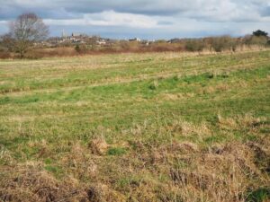 View17-Flora field towards Lancaster Castle Album