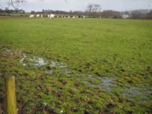 View28-Big Meadow towards Hay Meadow Album