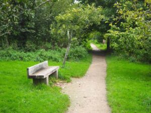 View31-Orchard by Old Sycamore and bench-25 Sep 2023