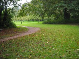 View34-Picnic area towards Orchard-12 Oct 2022