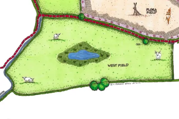 West Field Map