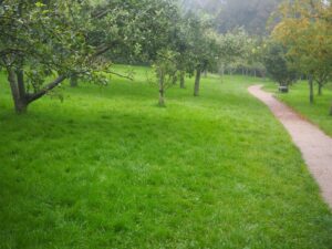 View32-Orchard towards Sunnyside Lane