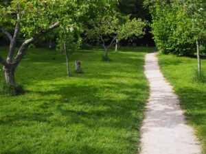 View33-Orchard path to picnic area