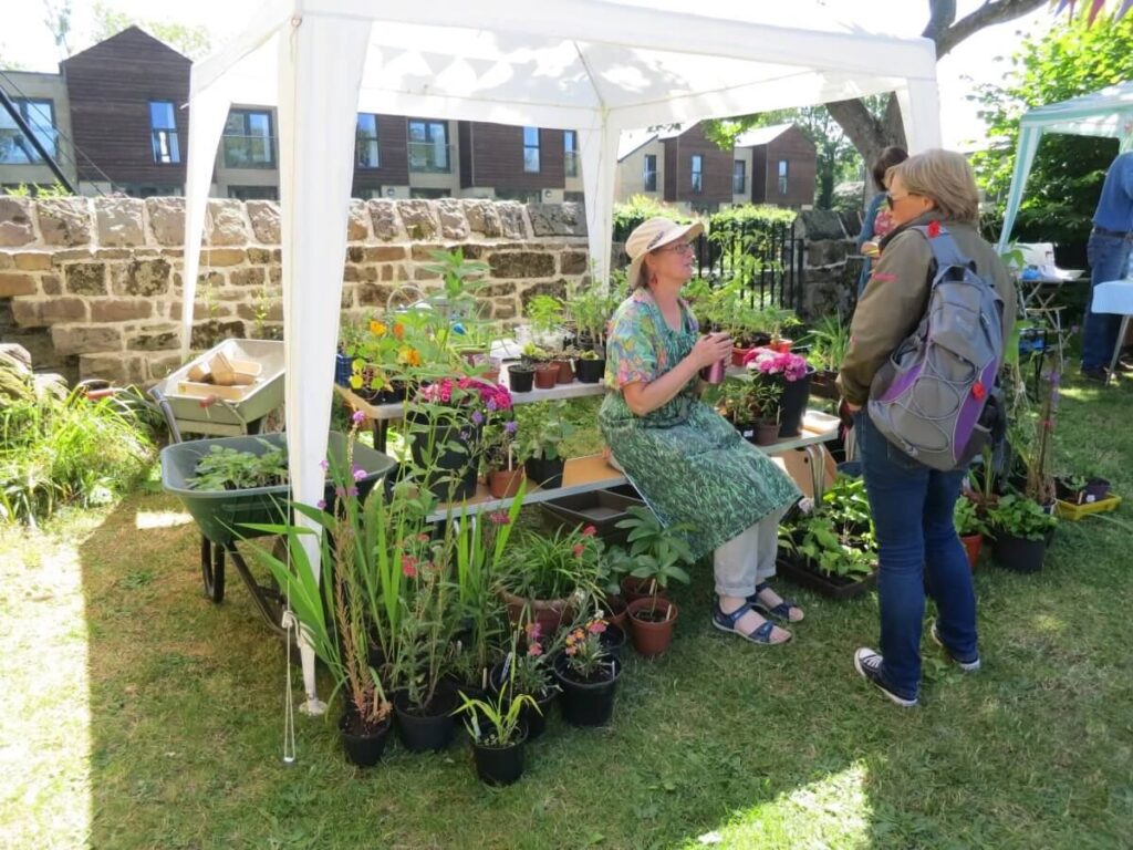 People attending the Triangle Summer Fair, July 2019