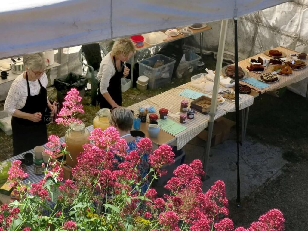 People attending the Triangle Summer Fair, July 2019