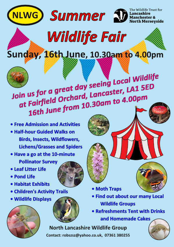 NLWG 2024 Wildlife Fair flyer 