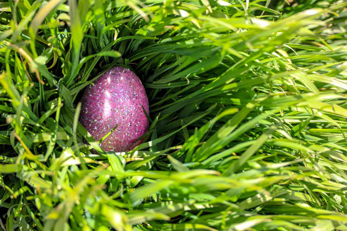 Easter Egg hidden in grass