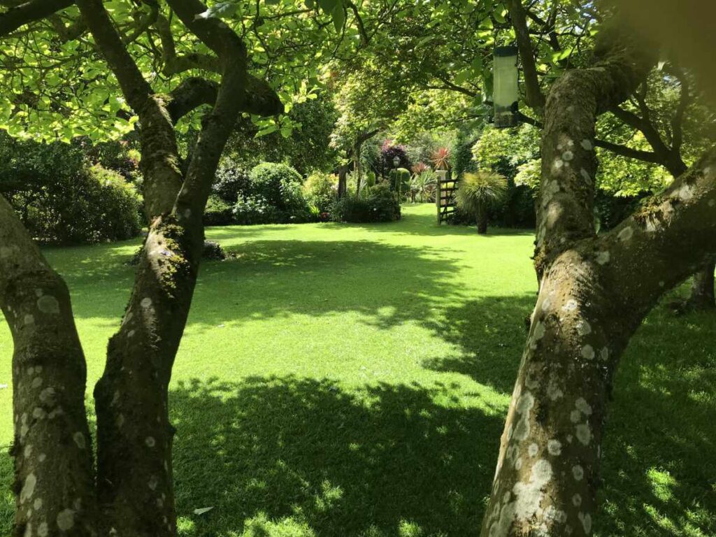 Carr House Farm Garden