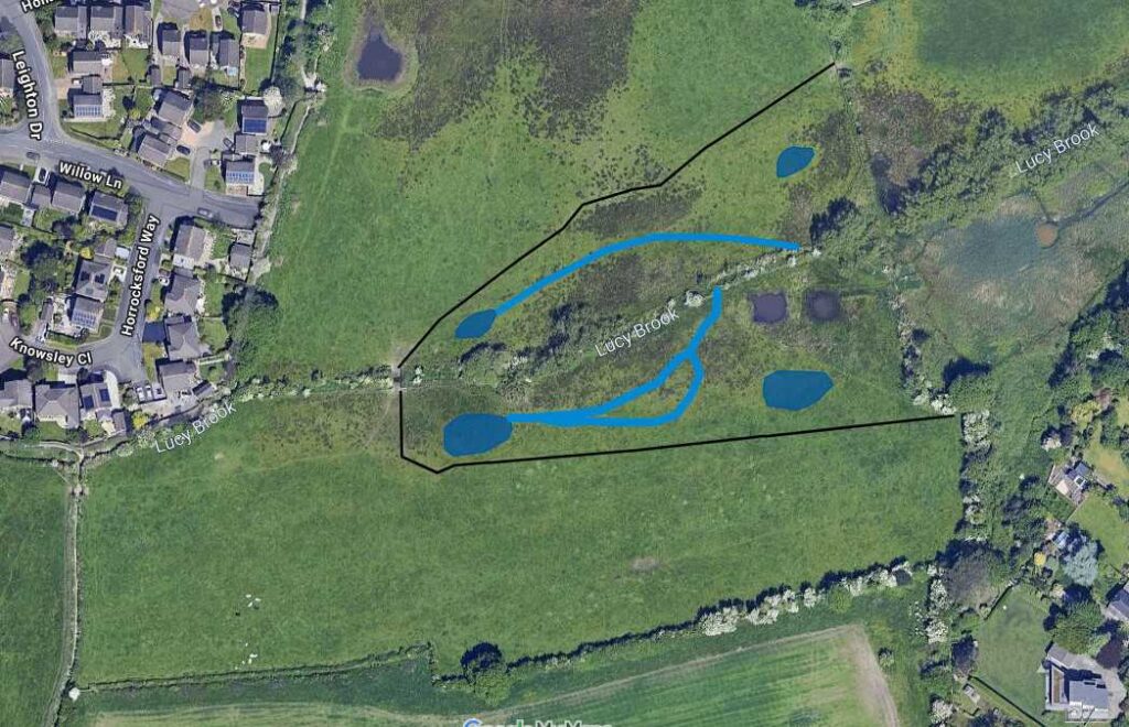 Lucy Brook Restoration Map 